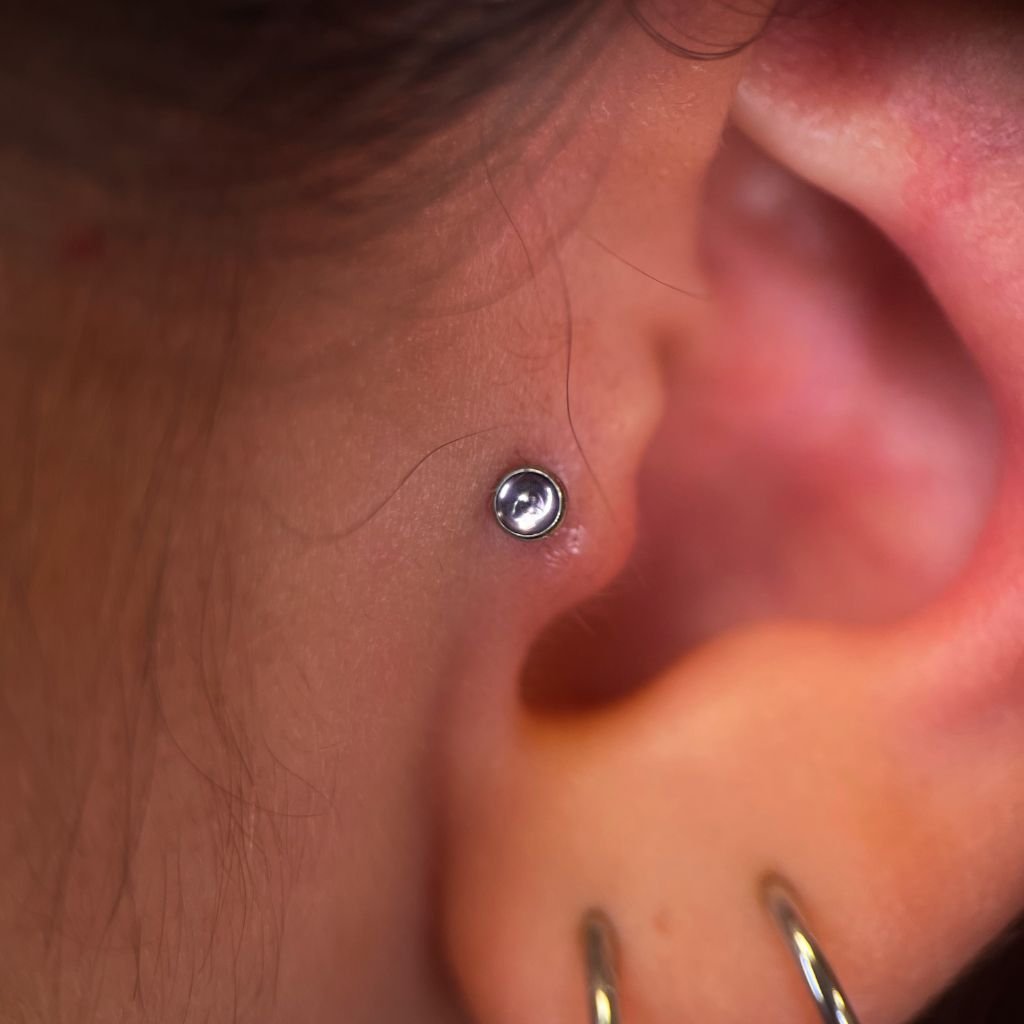 Tragus